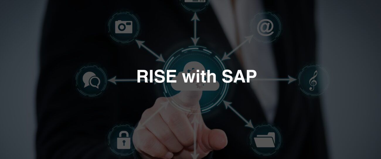 RISE with SAP blog