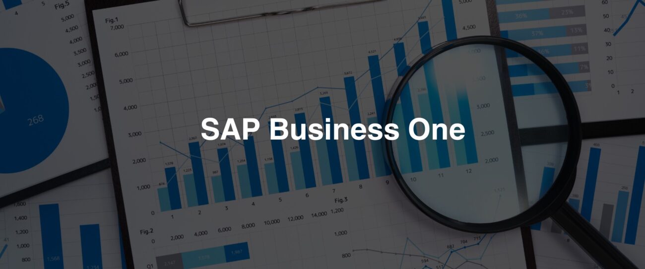 Everything You Need to Know About SAP Business One