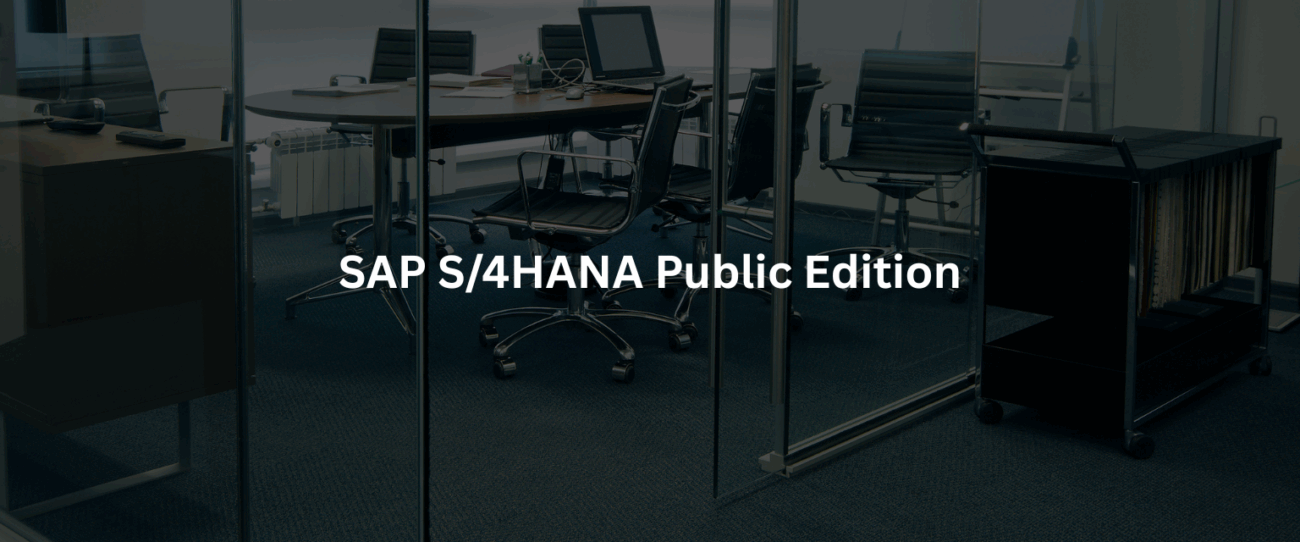 SAP S4HANA Public Edition