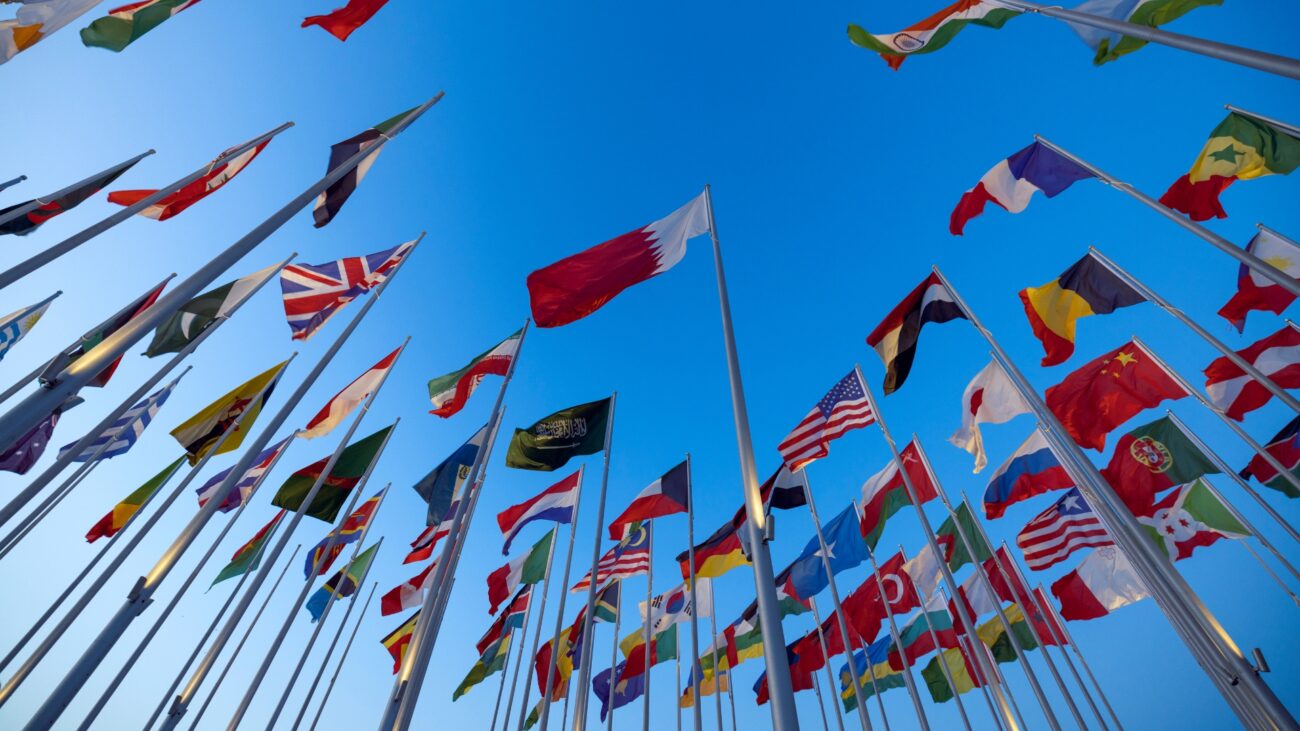 Global Standardization