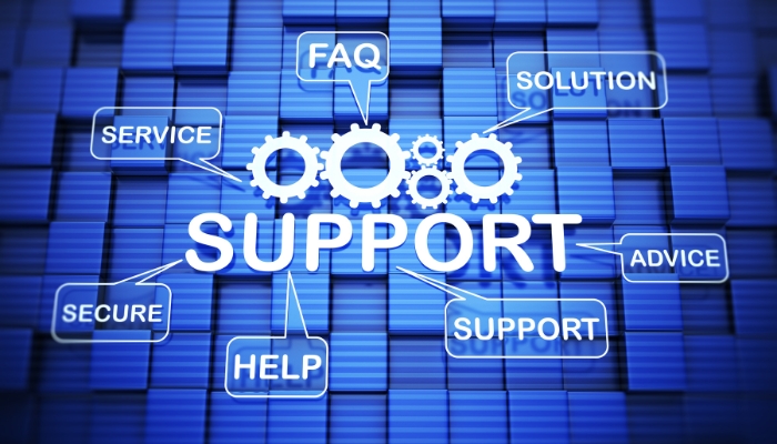 Post-Go-Live and Long-Term Support