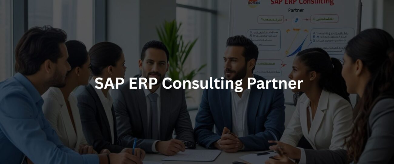 SAP ERP Consulting Partner