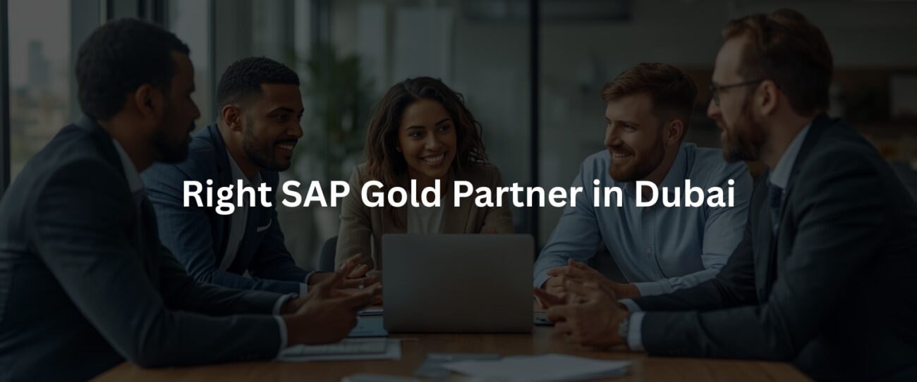 _SAP ERP Consulting Partner