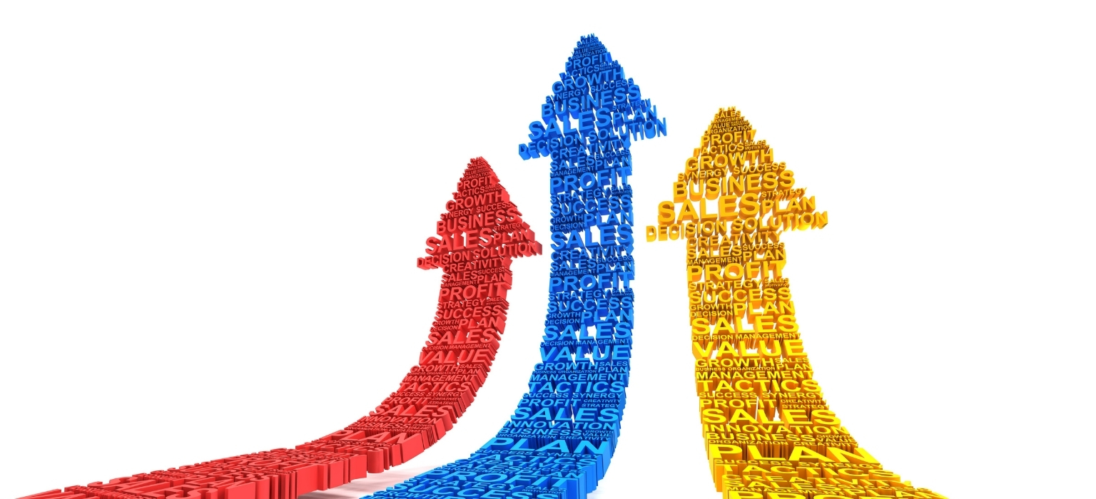 Post-Go-Live Support and Continuous Improvement