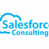 Salesforce Consulting Services logo